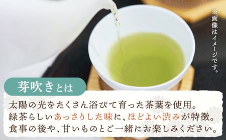 【全3回定期便】「あっさりとした有機栽培茶」さざの 有機栽培茶 芽吹き (100g×3本/回)【宝緑園】[QAH025]