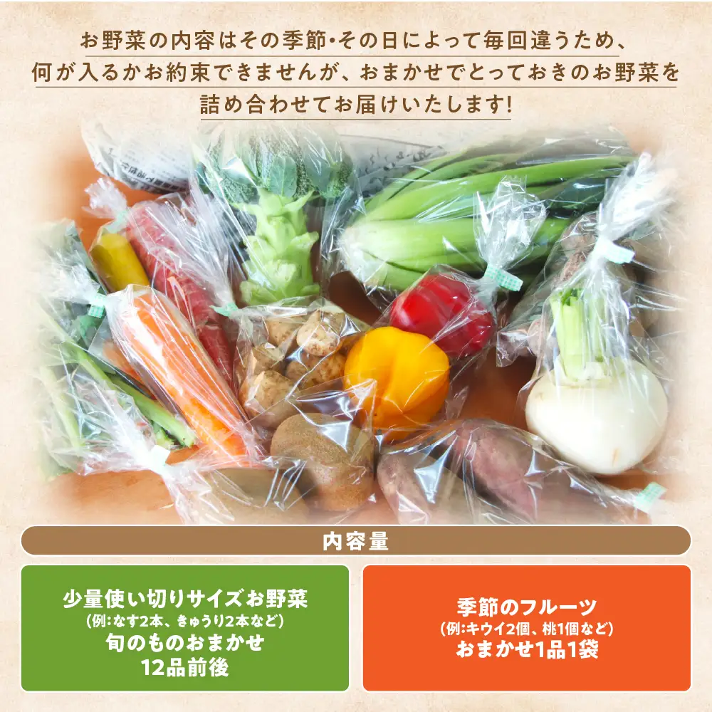 【定期便・年4回】旬のお野菜を少しずつたくさん！甲斐路の彩りお野菜セット