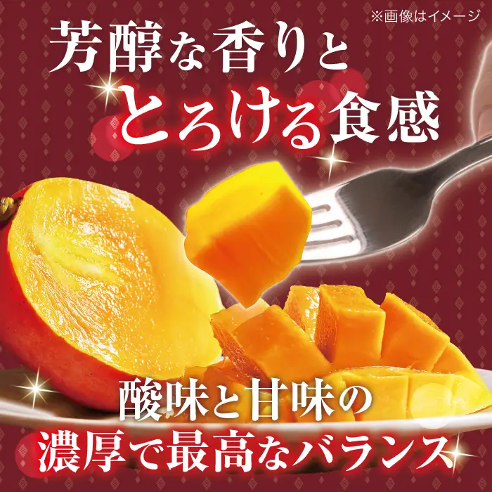 マンゴー【発送中】訳ありマンゴー 約1kg QAT009