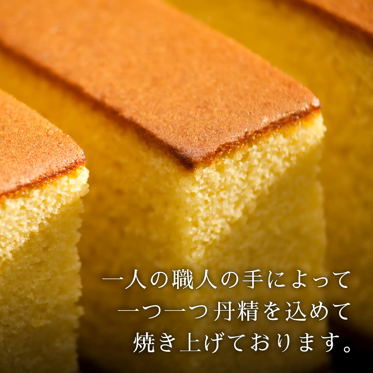 【最速】特撰カステラ 2号(約580g×2本入)[QAU002]