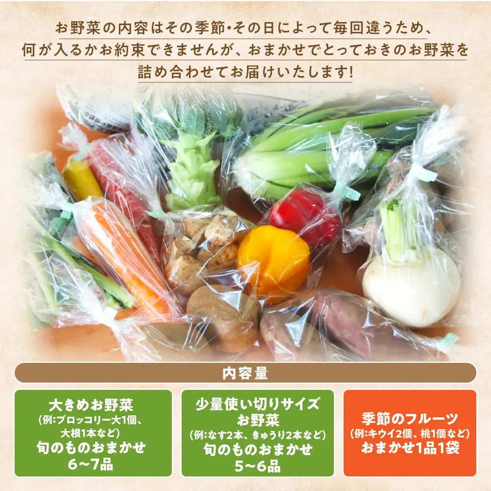 【定期・年12回】旬のお野菜がどっさり！甲斐路の大満足お野菜セット