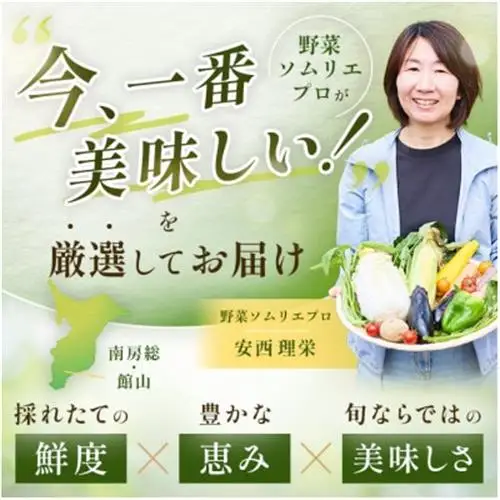 【毎月定期便】【中旬発送】こだわりの旬野菜BOX「リエビン」季節の野菜セット全12回【配送不可地域：離島・沖縄県】【4012346】