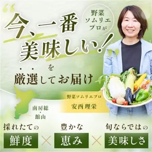 【毎月定期便】【下旬発送】こだわりの旬野菜BOX「リエビン」季節の野菜セット全12回【配送不可地域：離島・沖縄県】【4012347】