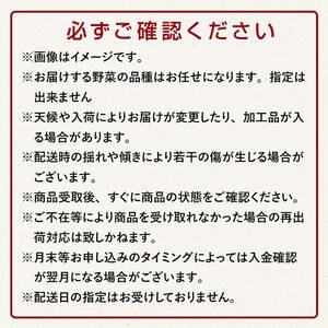 津軽の季節の野菜詰め合わせセット 【中泊町特産物直売所ピュア】 F6N-022