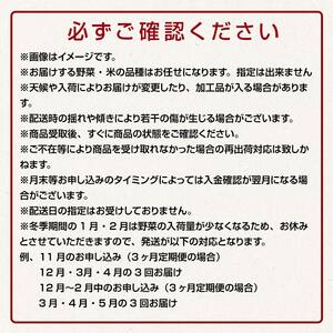 《定期便》 津軽のお米 5kg＆季節の野菜詰合せ 【3ヶ月連続】 【中泊町特産物直売所ピュア】 F6N-099