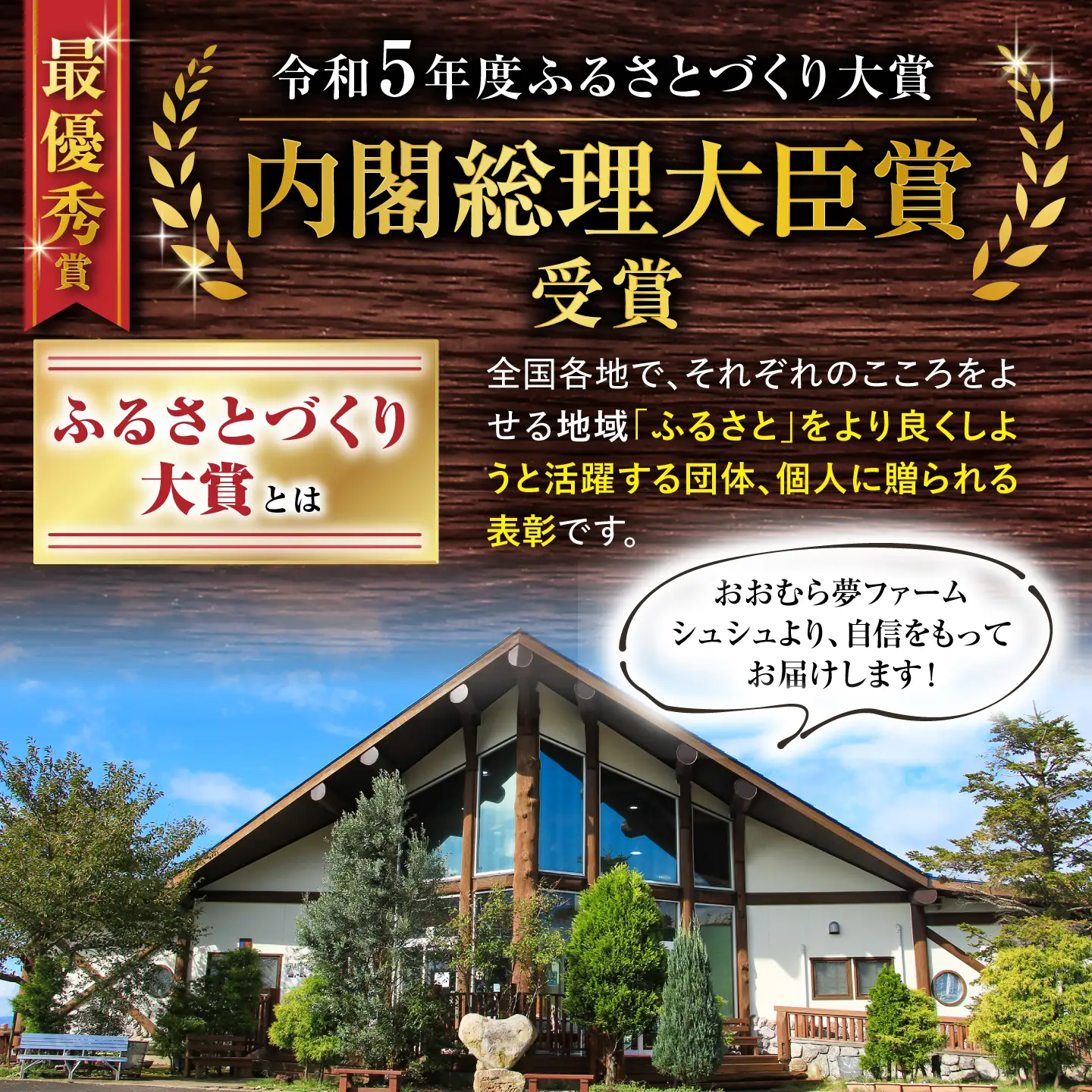 バラエティ定期便 人気セレクトBコース 12回 大村市産  [ACAA123]