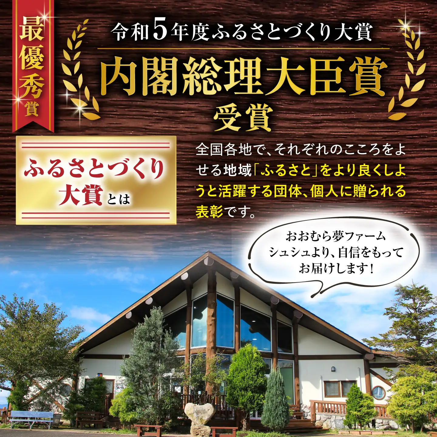 バラエティ定期便【12回】プレミアム厳選コース[ACAA126]