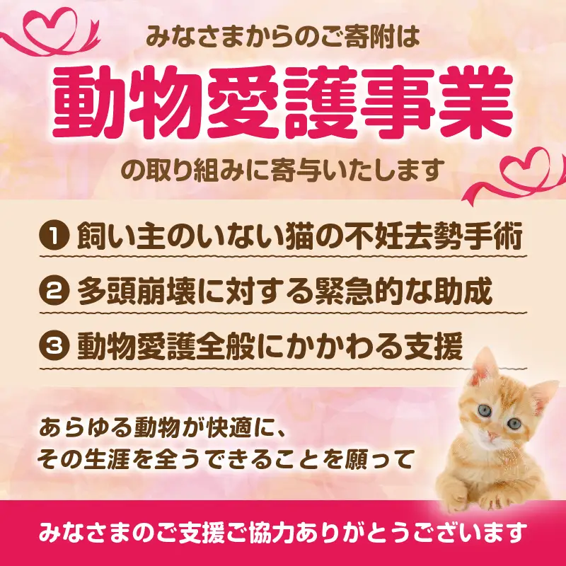 【返礼品なし】動物愛護に関することへの応援寄附(5,000円)_B001-043