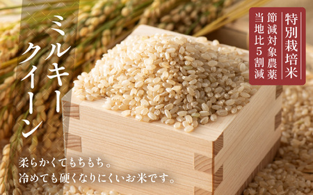 【令和7年産】発芽玄米 特別栽培米 ミルキークイーン 真空パック 2kg 米 玄米 ギャバ [A-29116]