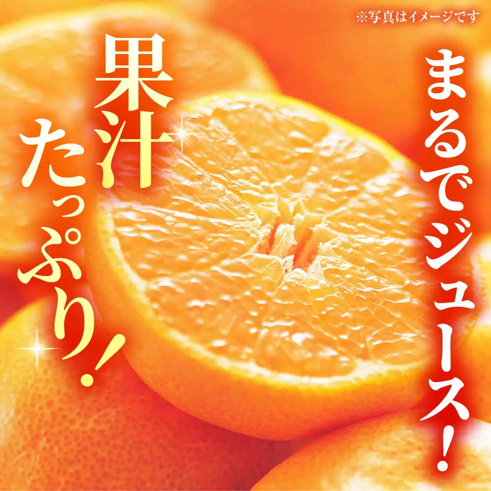 【先行予約】【2回定期便】【訳あり】家庭用 みかん 約5kg 詰め合わせ 柑橘【合同会社 社方園】[ZBZ034]