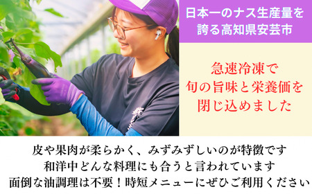 冷凍揚げナス 500g×6袋｜なすなすなすなすなす
