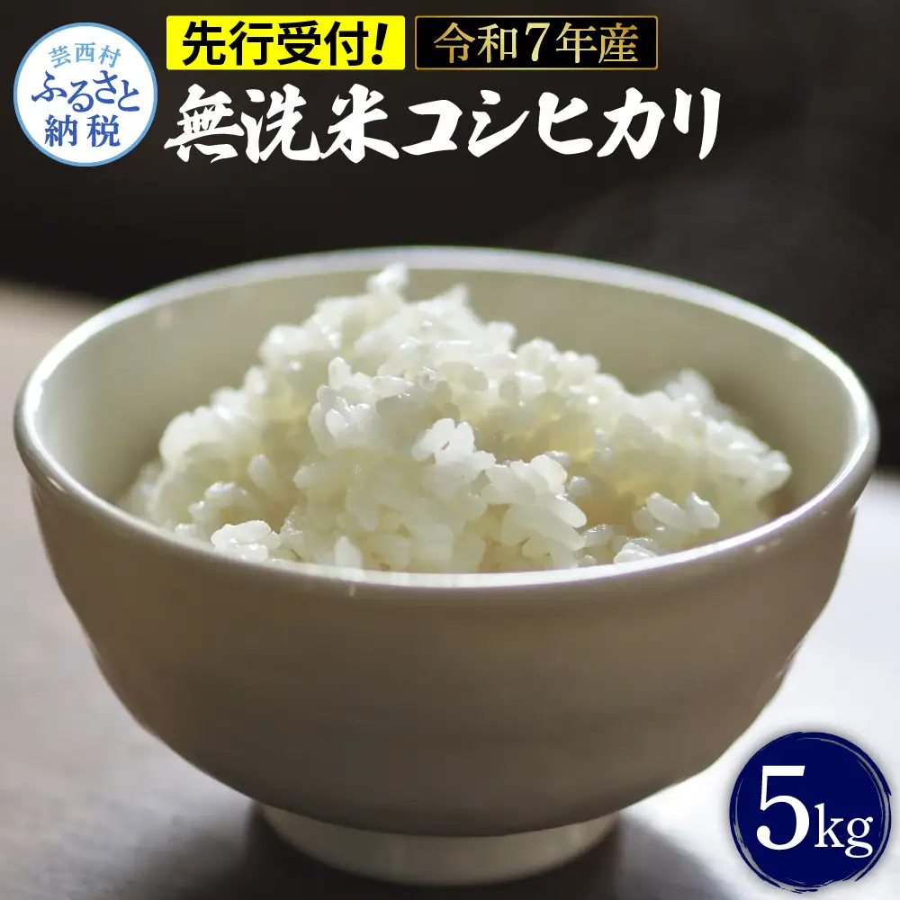 先行予約 令和7年産 無洗米コシヒカリ5キロ 