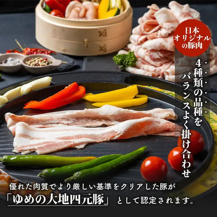 【北海道ブランド豚】「ゆめの大地」 バラエティセット（ロース200g×5P・バラ200g×5P）【27009】