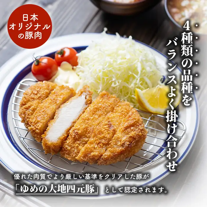 【北海道ブランド豚】「ゆめの大地」 豚ロースブロック 1kg【27007】