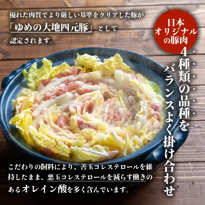 【北海道ブランド豚】「ゆめの大地」 豚バラスライス 200g×10パック【27005】