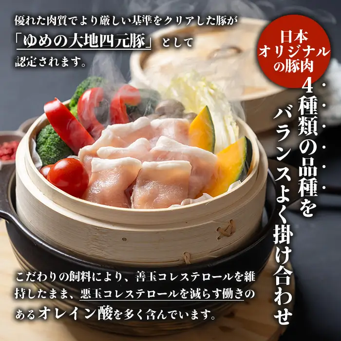 【北海道ブランド豚】「ゆめの大地」 豚ローススライス 200g×10パック【27002】