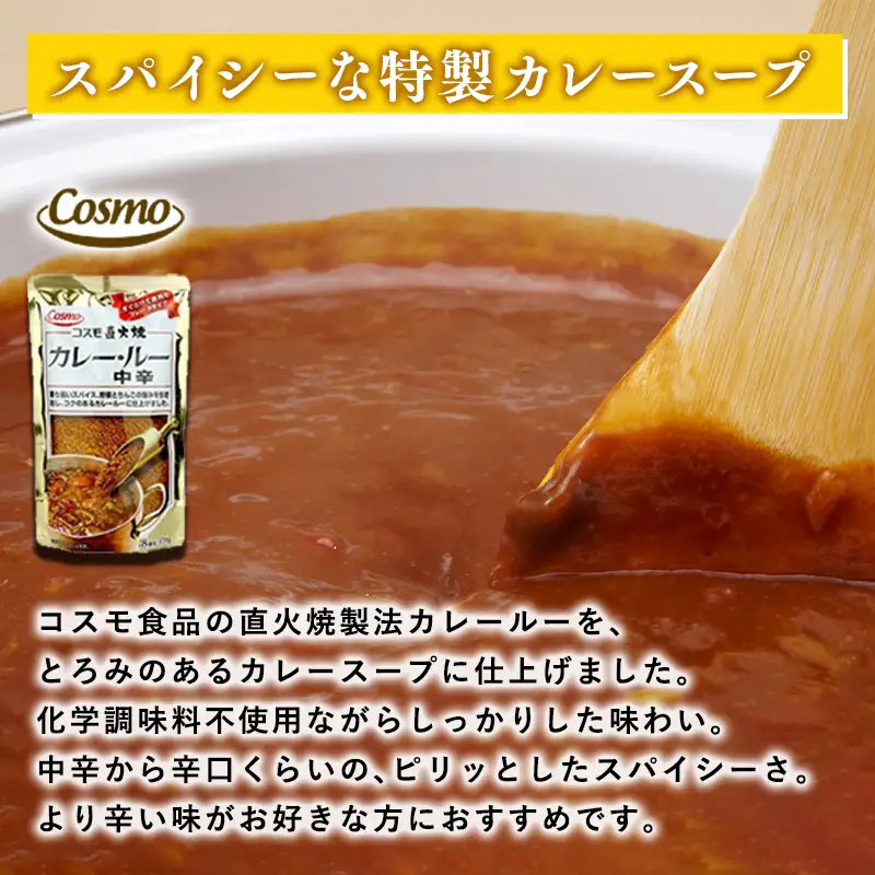 青森ネバリゴシ麺カリーうどん10食 　[hi-0012-004]