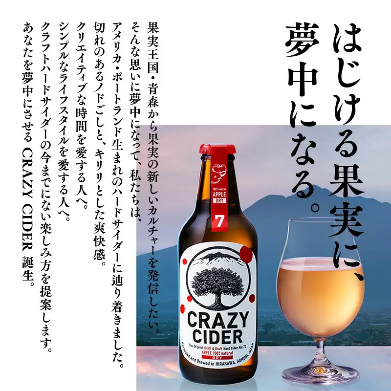 りんごの果実酒 CRAZY CIDER 330ml×3本セット[hi-0032-002]