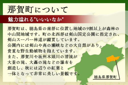 【返礼品なしの寄附】徳島県那賀町 1口：10,000円 ［徳島県 徳島 那賀町 那賀 寄附 おうえん 応援 しえん 支援 応援したい おうえん寄付金 応援寄付金  寄付のみ 返礼品なし 返礼品なしの寄附 10,000円］【NY-4】