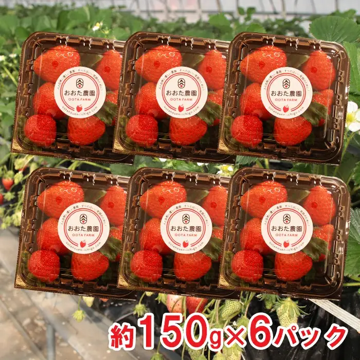 【先行予約】鳥取県産 いちご　約150g×6パック【イチゴ 苺 フルーツ 果物 6パック かおりの かおり野 ベリーすず はるひ おまかせ お楽しみ 減農薬栽培 季節限定 先行予約】