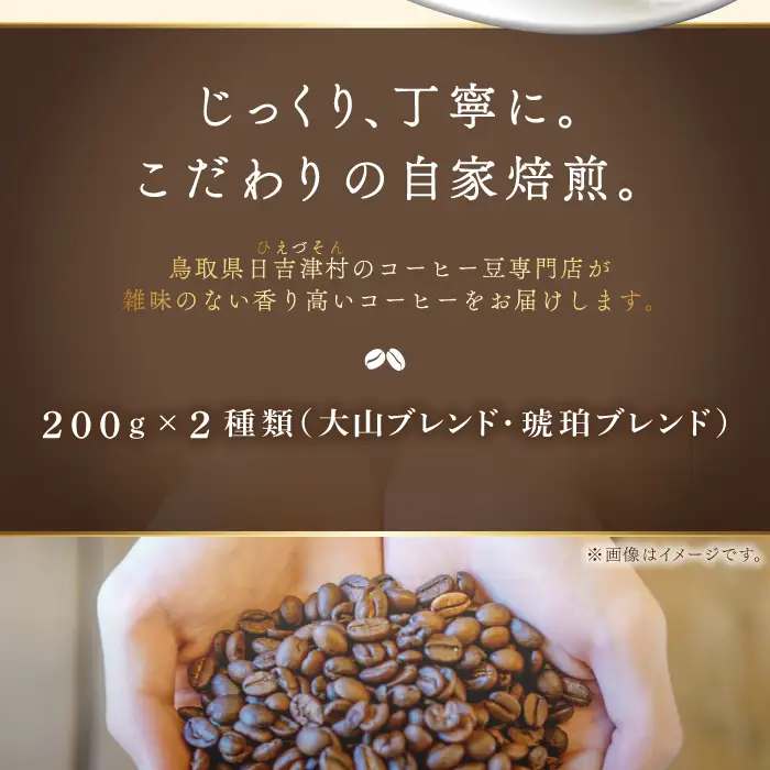 自家焙煎コーヒー（粉）　400g（200g×2種）【大山ブレンド 琥珀ブレンド コーヒー 珈琲 自家 焙煎 2種 飲み比べ 粉 コーヒー粉 ご自宅用 飲料 鳥取 日吉津村】