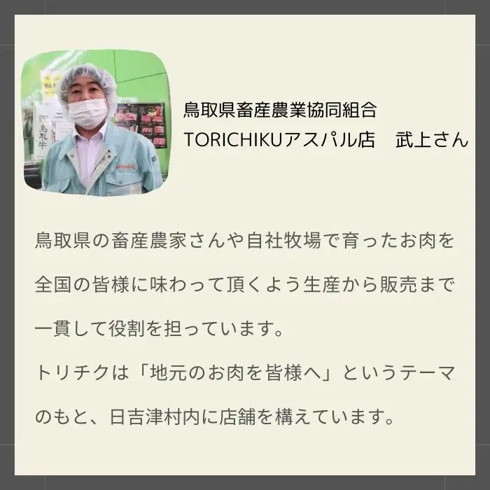 鳥取和牛 切り落とし 500g【切落し 切り落し 炒め物 煮込み 鳥取 和牛 ご自宅用 お取り寄せ グルメ プレゼント 冷凍 】