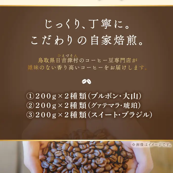 【3回定期便】【コーヒー豆】極上自家焙煎コーヒー　400g×3回【ブルボン 大山 グァテマラ 琥珀 スイート ブラジルブレンド 定期コース 3回 頒布会 コーヒー 珈琲 自家 焙煎 豆 コーヒー豆 飲料 鳥取 日吉津村】