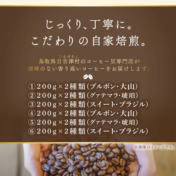 【6回定期便】【コーヒー豆】極上自家焙煎コーヒー　400g×6回【ブルボン 大山 グァテマラ 琥珀 スイート ブラジルブレンド 定期コース 6回 半年 頒布会 コーヒー 珈琲 自家 焙煎 豆 コーヒー豆 飲料 鳥取 日吉津村】