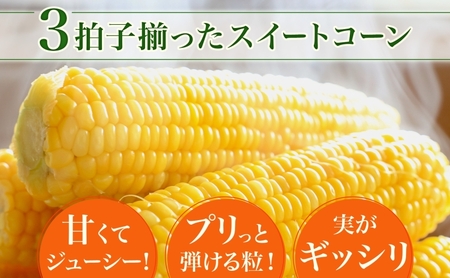 とうもろこし 10本 スイートコーン トウモロコシ コーン 甘い 採れたて 朝採り 野菜 旬の野菜 農作物 お取り寄せ 北海道産 産地直送 北海道 美深町 お届け：2026年8月3日～2026年8月28日