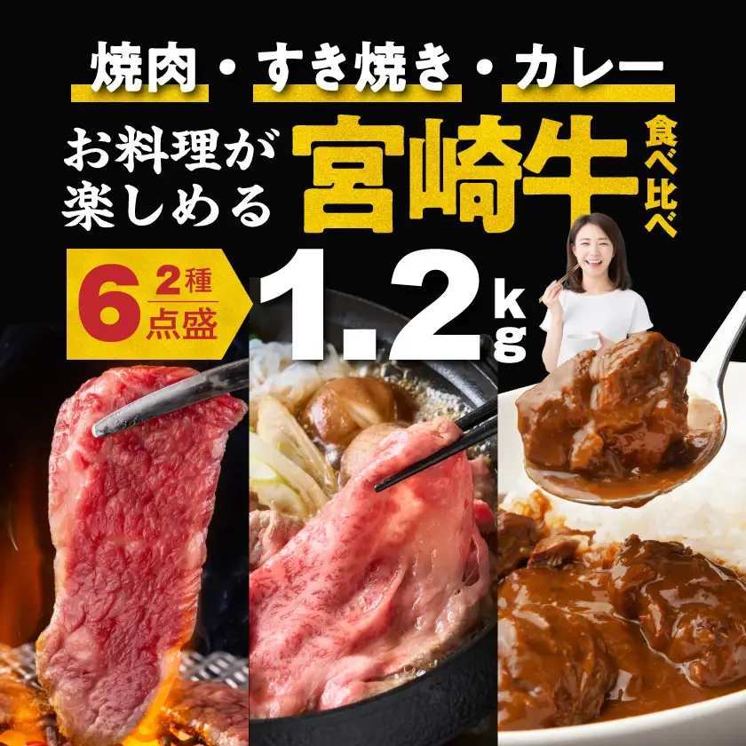 宮崎牛食べ比べ2種6点盛〔AE-31-010〕_(都城市) 肩ロースカレー用 牛もも肉スライス 内もも肉 ランプ肉 牛もも焼肉 牛肩ローススライス にくほんぽ黒たれセット ギフト 贈答用