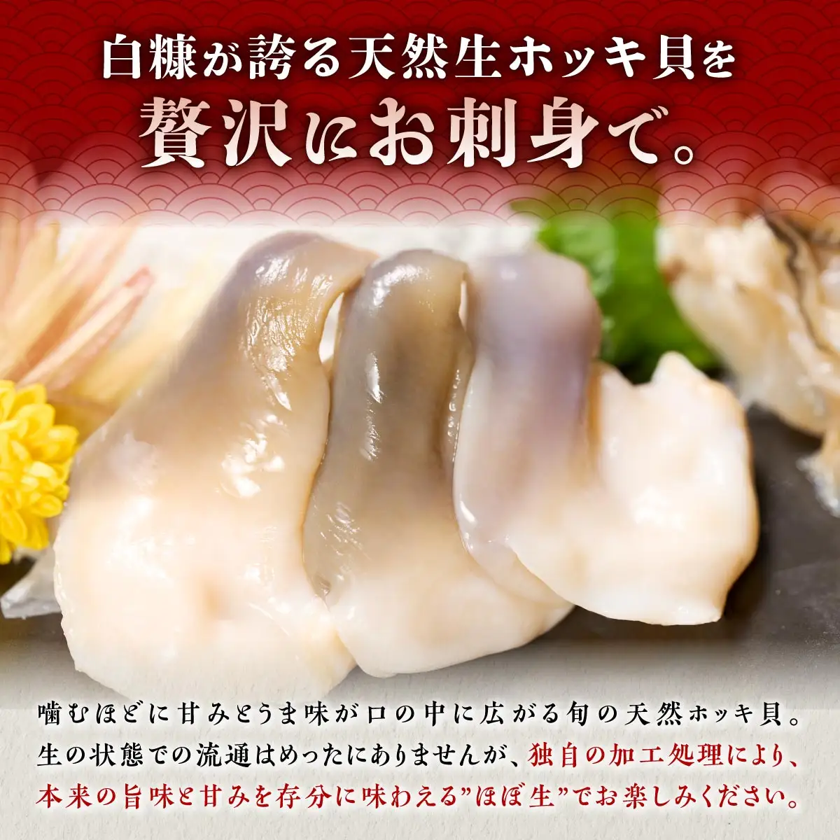 北海道 天然 生 ホッキ貝 お刺身 セット  2皿_A010-1708