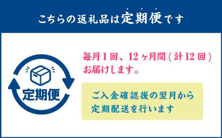 【12ヶ月定期便】とんでもない鯖(鯖文化干し8枚×12回)