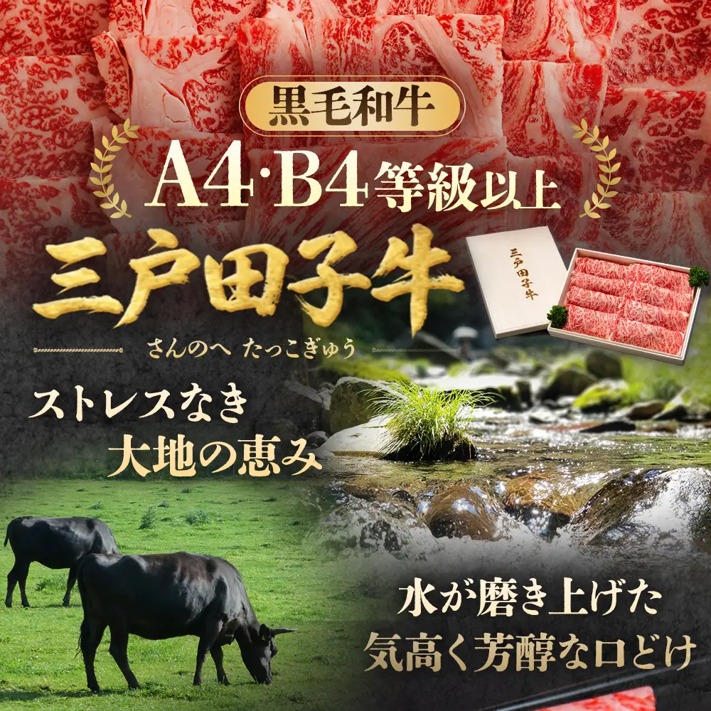 国産和牛 スネ・ネックブロック 650g　黒毛和牛 「三戸・田子牛」