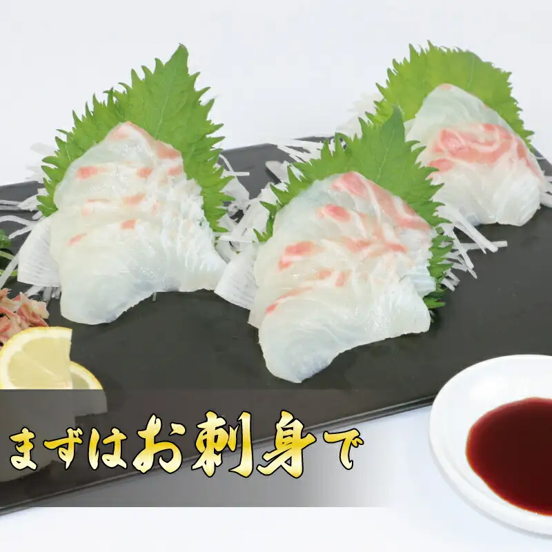 訳あり 真鯛 皮なしロイン 600g オンスイ  真鯛真鯛真鯛真鯛真鯛真鯛真鯛真鯛  D010-159012