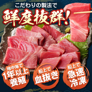 本マグロ トロ ブツ 1kg (a20-493)