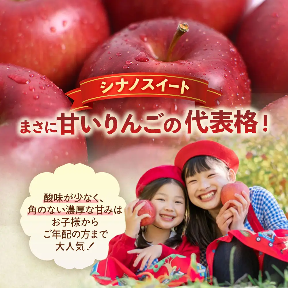 青森県産りんご シナノスイート 約5kg りんご 10月中旬～