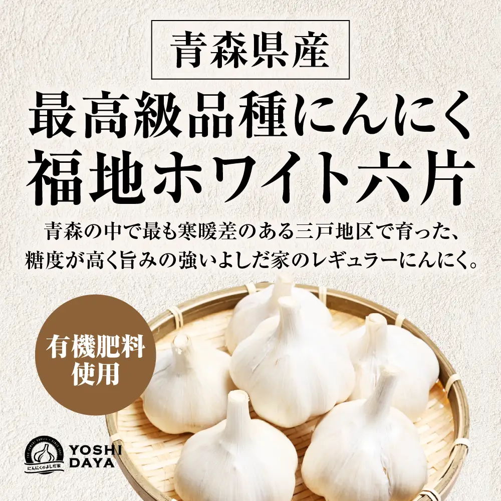 青森県産にんにく 特大サイズ ６玉 福地ホワイト にんにく