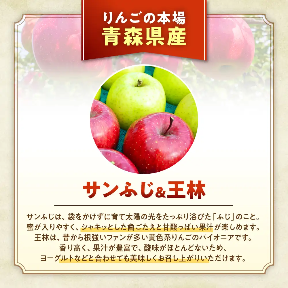 【詰め合わせ】青森県産りんご サンふじ＆王林 セット 約5kg 11月下旬～ りんご