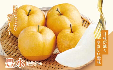 【先行予約】高知県土佐市産 梨（豊水）約5kg 10〜12玉 〈2026年8月下旬頃〜9月中旬頃発送〉 ほうすい なし ナシ 5キロ 国産 フルーツ 果物 くだもの デザート スイーツ 旬 甘い 果汁たっぷり ジューシー【株式会社とさもん】[BQAE018]