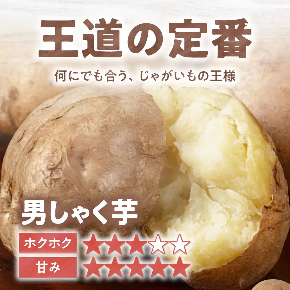  【先行予約】じゃがいも 男爵芋 10kg  [AJAK008] じゃがいも