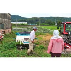 岡山県産 おかやま有機無農薬栽培認定 きぬむすめ 精 米 2kg | 米