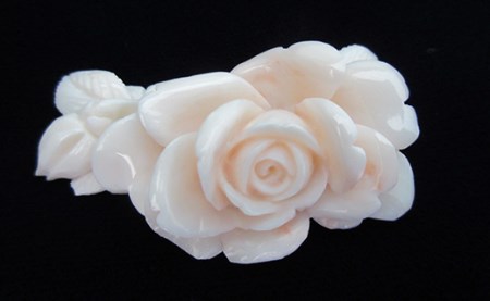 ピンク珊瑚バラの花 珊瑚