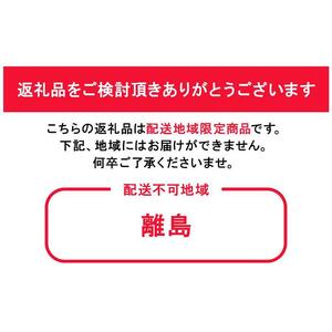 ニューピオーネ 2房 約950g 岡山県産 お届け 9月上旬～10月中旬｜ ぶどう ぶどう