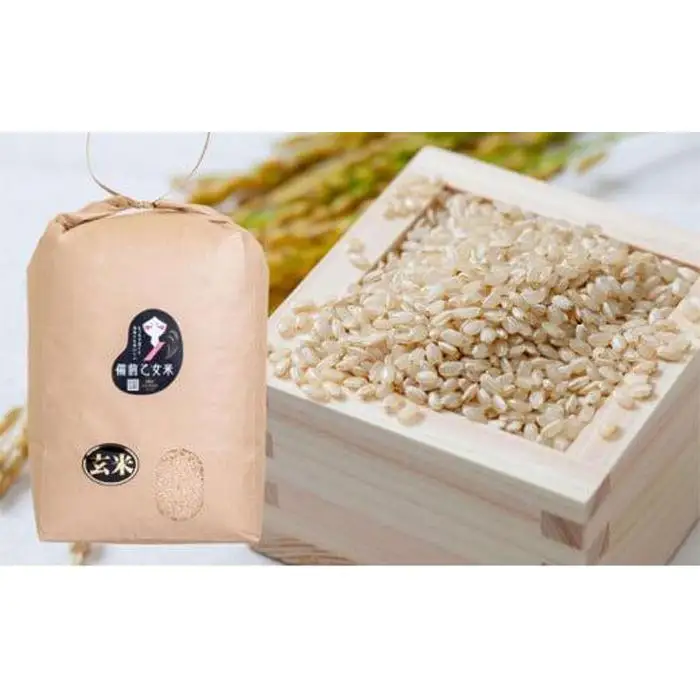 令和8年産 石原果樹園の備前乙女  米  玄 米  10kg （10kg×1袋）