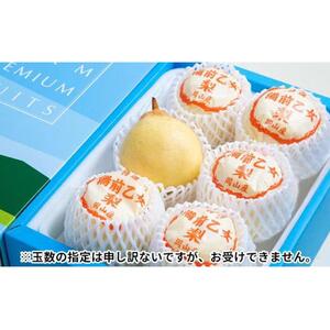 梨 2026年  備前乙女梨（鴨梨） 5～6玉入り（約3kg）箱赤秀 【ナシ なし 岡山県産 国産 フルーツ 果物 ギフト 石原果樹園】