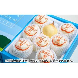 梨 2026年  備前乙女梨（鴨梨） 6～9玉入り（約4kg）箱赤秀【ナシ なし 岡山県産 国産 フルーツ 果物 ギフト 石原果樹園】