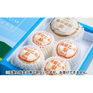 梨 2026年  備前横綱梨（あたご梨） 超大玉1玉 1kg～1.5kg・備前乙女梨（鴨梨） 3～5玉 詰合せ 合計3.0kg以上 箱赤秀【岡山県産 フルーツ ギフト 石原果樹園】