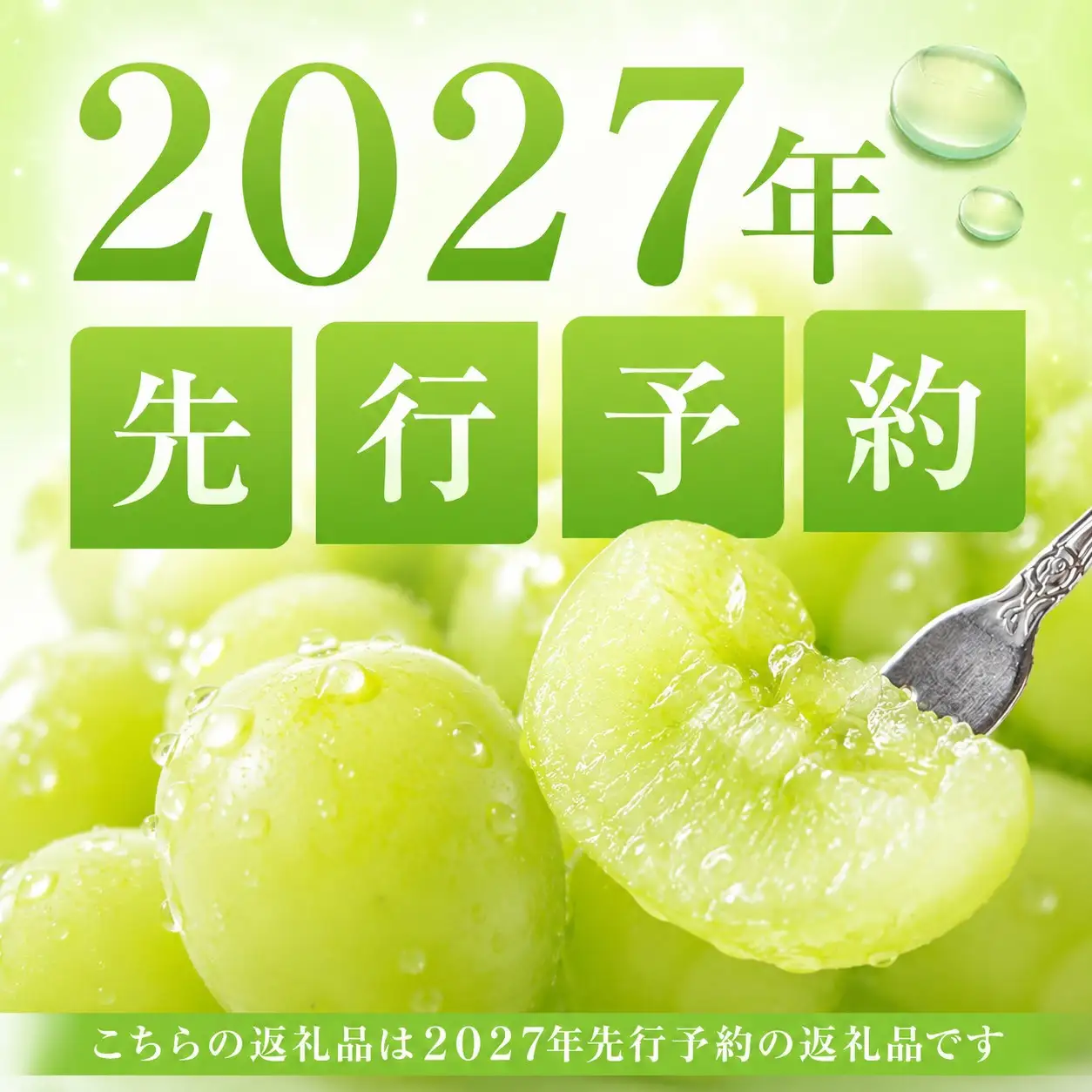 ぶどう 2027年 先行予約 桃太郎 ぶどう 1房（1房670g以上） ブドウ 葡萄  岡山県産 国産 フルーツ 果物 ギフト