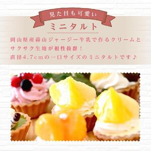 ＜一口サイズの見た目も可愛いみにたると♪＞ミニタルト 厳選5種 20個入 フレッシュタルトのお店 STYLE 岡山にあるタルト専門店 | タルト ミニタルト 人気タルト おすすめタルト フルーツタルト 冷凍タルト スイーツ