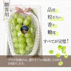 ぶどう 2026年　岡山県産 高級 シャインマスカット 1.4kg以上 2房 贈答用＜9月以降発送＞｜  シャインマスカット